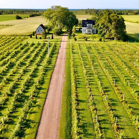 Bed and Breakfast Sunbury Cove Winery Miscouche Exterior foto